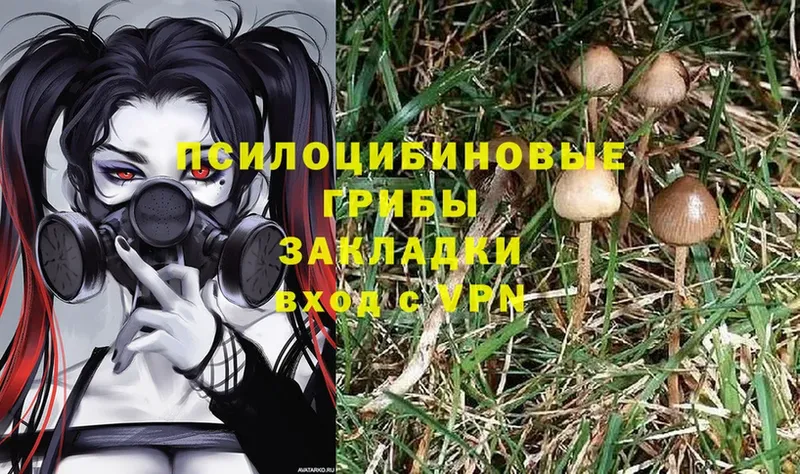 купить наркоту  Мариинск  Галлюциногенные грибы MAGIC MUSHROOMS 